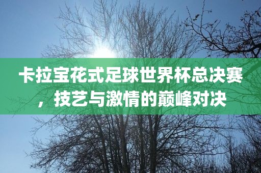 卡拉宝花式足球世界杯总决赛，技艺与激情的巅峰对决洪湖市顺升工程机械租赁有限公司