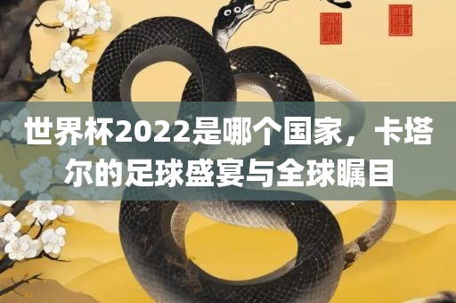 世界杯2022是哪个国家，卡塔尔的足球盛宴与全球瞩目