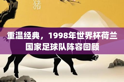 重温经典，1998年世界杯荷兰国家足球队阵容回顾