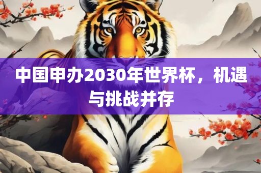 中国申办2030年世界杯，机遇与挑战并存