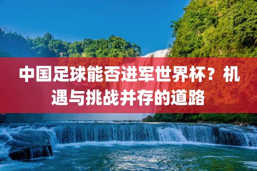中国足球能否进军世界杯？机遇与挑战并存的道路洪湖市顺升工程机械租赁有限公司
