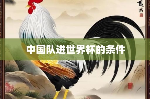 中国队进世界杯的条件