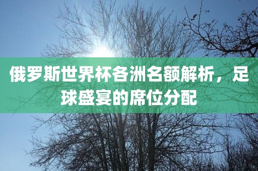 俄罗斯世界杯各洲名额解析，足球盛宴的席位分洪湖市顺升工程机械租赁有限公司配