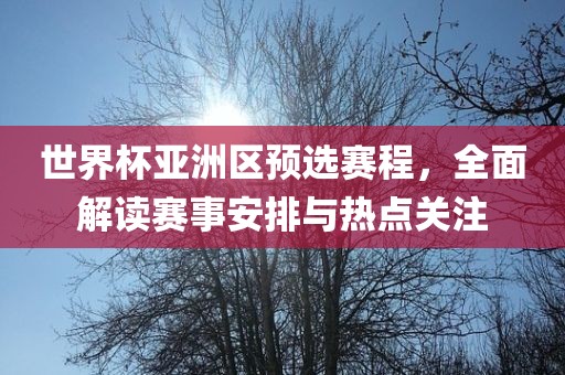 世界杯亚洲区预选赛程，全面解读赛事安排与热点关注