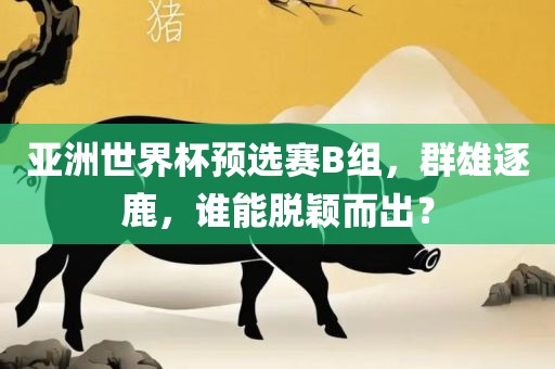 亚洲世界杯预选赛B组，群雄逐鹿，谁能脱颖而出？