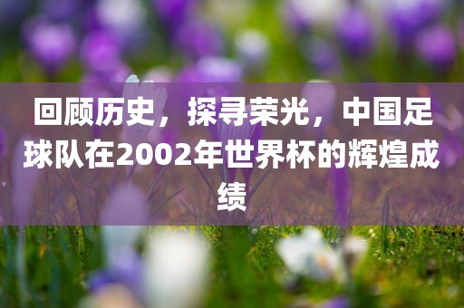 回顾历史，探寻荣光，中国足球队在2002年世界杯的辉煌成绩