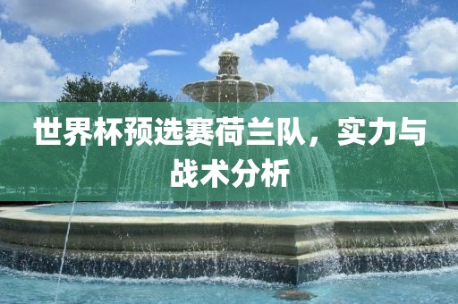 世界杯预选赛荷兰队，实力与战术分析