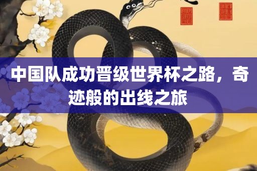 中国队成功晋级世界杯之路，奇迹般的出线之旅