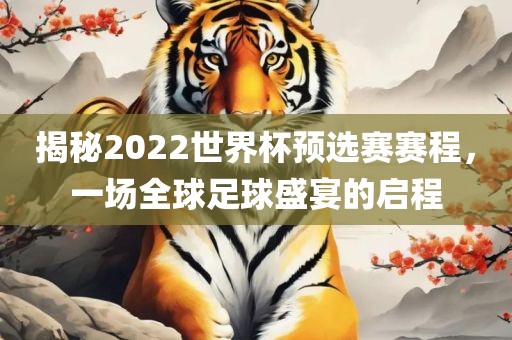 揭秘2022世界杯预选赛赛程，一场全球足球盛宴的启程