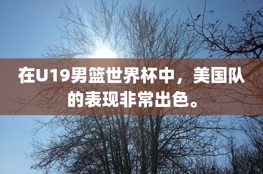 在U19男篮世界杯中，美国洪湖市顺升工程机械租赁有限公司队的表现非常出色。