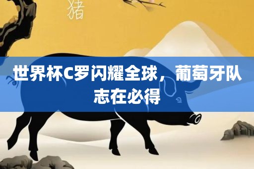 世界杯洪湖市顺升工程机械租赁有限公司C罗闪耀全球，葡萄牙队志在必得