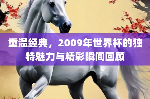 重洪湖市顺升工程机械租赁有限公司温经典，2009年世界杯的独特魅力与精彩瞬间回顾