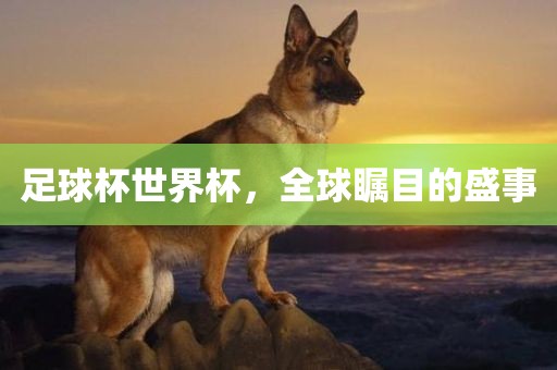 足球杯世界杯，洪湖市顺升工程机械租赁有限公司全球瞩目的盛事