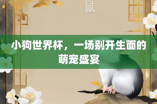 小狗世界杯，一场别开生面的萌宠盛宴洪湖市顺升工程机械租赁有限公司