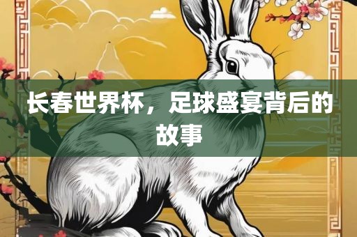 长春洪湖市顺升工程机械租赁有限公司世界杯，足球盛宴背后的故事