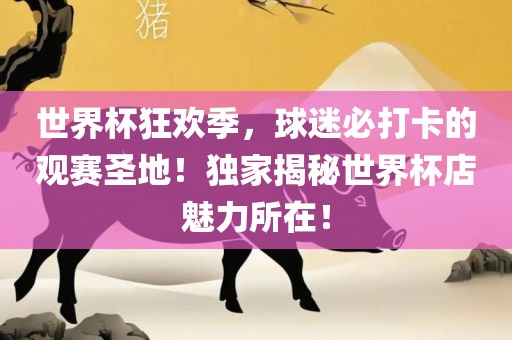 世界杯狂欢季，球迷必打卡的观赛圣地！独家揭秘世界杯店魅力所在！