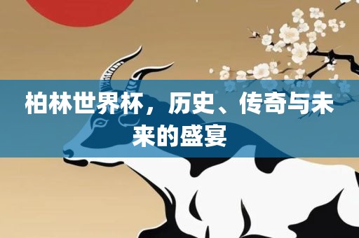 柏林世界杯，历史、传奇与未来的盛宴洪湖市顺升工程机械租赁有限公司