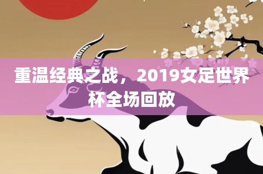 重温经典之战，2019女足世界杯全场回放洪湖市顺升工程机械租赁有限公司