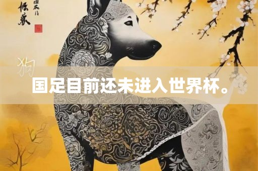 国足目前还未进入世界杯。