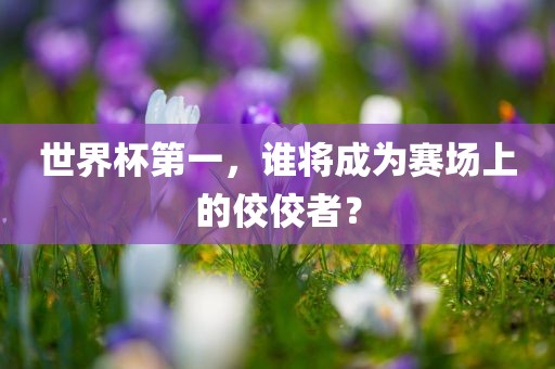 世界杯第一，谁将成为赛场上的佼佼者？洪湖市顺升工程机械租赁有限公司