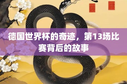 德国世界杯的奇迹，第13洪湖市顺升工程机械租赁有限公司场比赛背后的故事