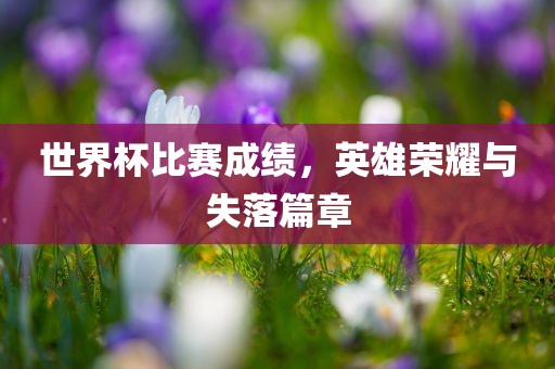 世界杯比赛成绩，英雄荣耀与失落篇章