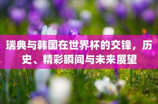 瑞典与韩国在世界杯的交锋，历史、精彩瞬间与未来展望洪湖市顺升工程机械租赁有限公司