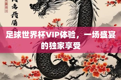 足球世界杯VIP体验，一洪湖市顺升工程机械租赁有限公司场盛宴的独家享受