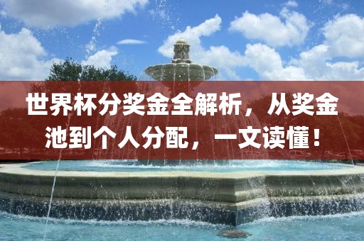 世界杯分奖金全解析，从奖金池到个人分配，一文读懂！