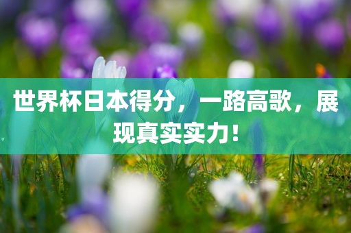 世界杯日本得分洪湖市顺升工程机械租赁有限公司，一路高歌，展现真实实力！