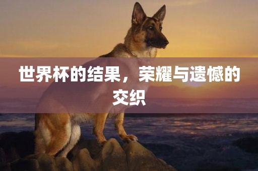 世界杯的结果，荣耀与遗憾的交织