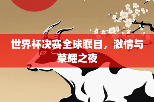 世界杯决赛全球瞩目，激情与荣耀之夜洪湖市顺升工程机械租赁有限公司