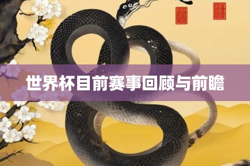 世界杯目前赛事回顾与前瞻洪湖市顺升工程机械租赁有限公司