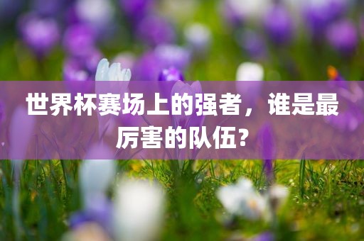 世界杯赛场上的强者，谁是最厉害的队伍？洪湖市顺升工程机械租赁有限公司