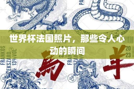 世界杯法国照片，那些令人心动的瞬间