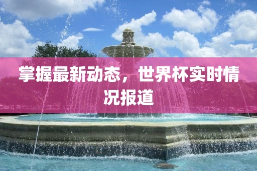 掌握最新动态，世界杯实时情况报道洪湖市顺升工程机械租赁有限公司