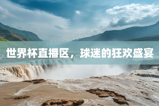 世界杯直播区，球迷的狂欢盛宴