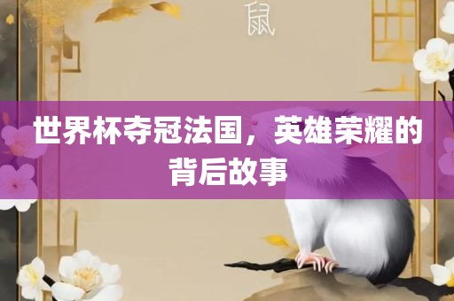 世界杯夺冠法国，英雄荣耀的背后故事