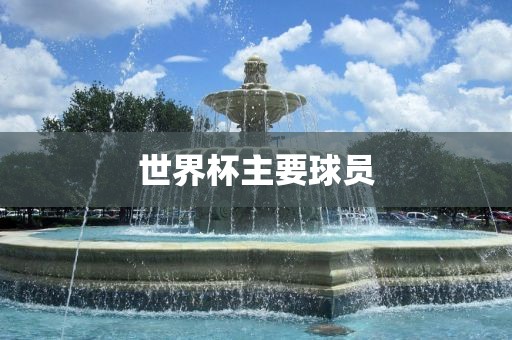 世界杯主要球员