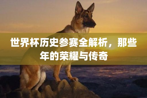 世界杯历史参赛全解析，那些年的荣耀与传奇洪湖市顺升工程机械租赁有限公司