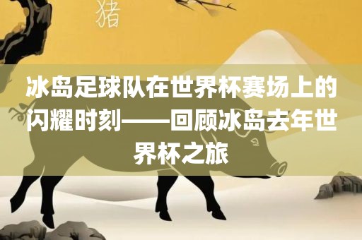 冰岛足球队在世界杯赛场上的闪耀时刻——回顾冰岛去年世界杯之旅