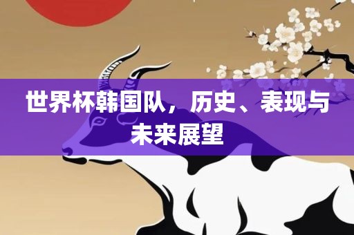 世界杯韩国队，历史、表现与未来展望