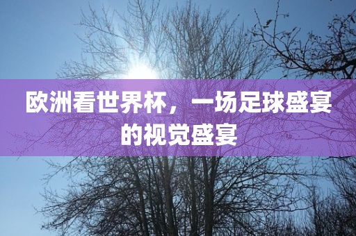 欧洲看世界杯，一场足球盛宴的洪湖市顺升工程机械租赁有限公司视觉盛宴