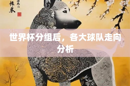 世界杯分组后，各大球队走向分析