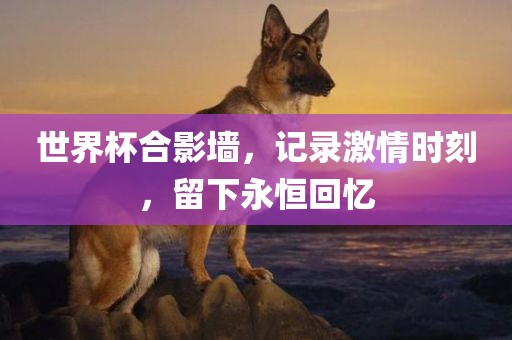 世界杯合影墙，记录激情时刻，留下永恒回忆洪湖市顺升工程机械租赁有限公司