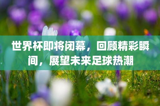 世界杯即将闭幕，回顾精彩瞬间，展望未来足球热潮洪湖市顺升工程机械租赁有限公司