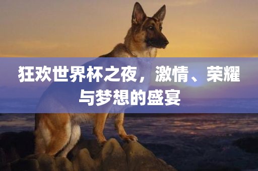 狂欢世界杯之夜，激情、荣耀与梦想的盛宴