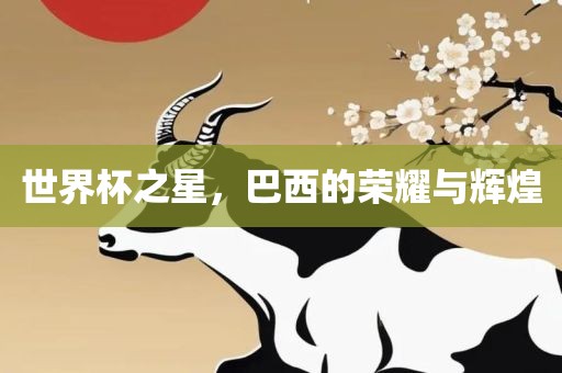 世界杯之星，巴西的荣洪湖市顺升工程机械租赁有限公司耀与辉煌