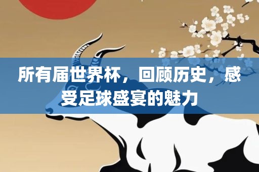 所有届世界杯，回顾历史，感受足球盛宴的魅力洪湖市顺升工程机械租赁有限公司