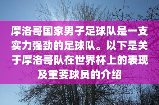 摩洛哥国家男子足球队是一支实力强劲的足球队。以下是关于摩洛哥队在世界杯上的表现及重要球员的介绍洪湖市顺升工程机械租赁有限公司